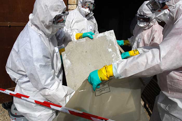 Mold Remediation Services Mold Remediation Services