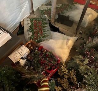 Hoarding Cleanup Solutions