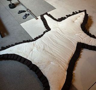 Home Property Moving Services