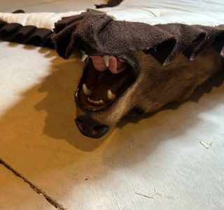 Residential Property Damage Restoration