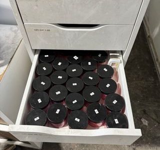 Water Damage Removal Services